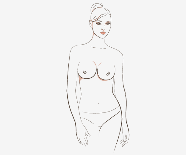 7 soorten borsten round