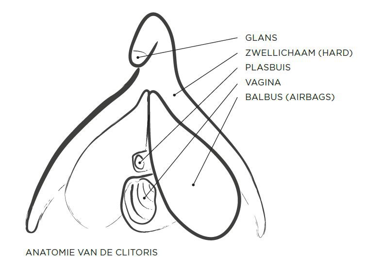 clitoris penetratie